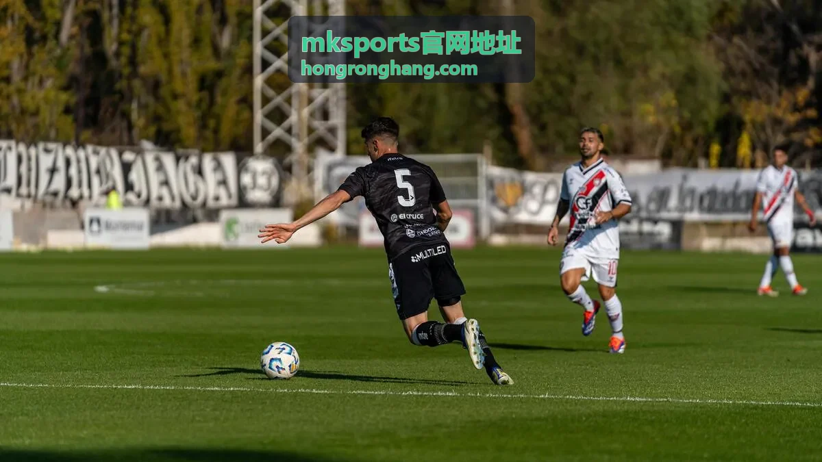 mksports官网地址入口地址查询页面的核对示意画面