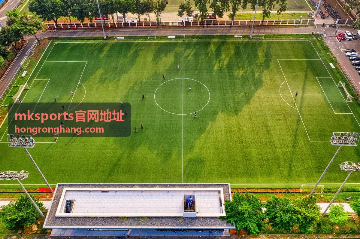 mksports官网地址主入口状态核对示意图