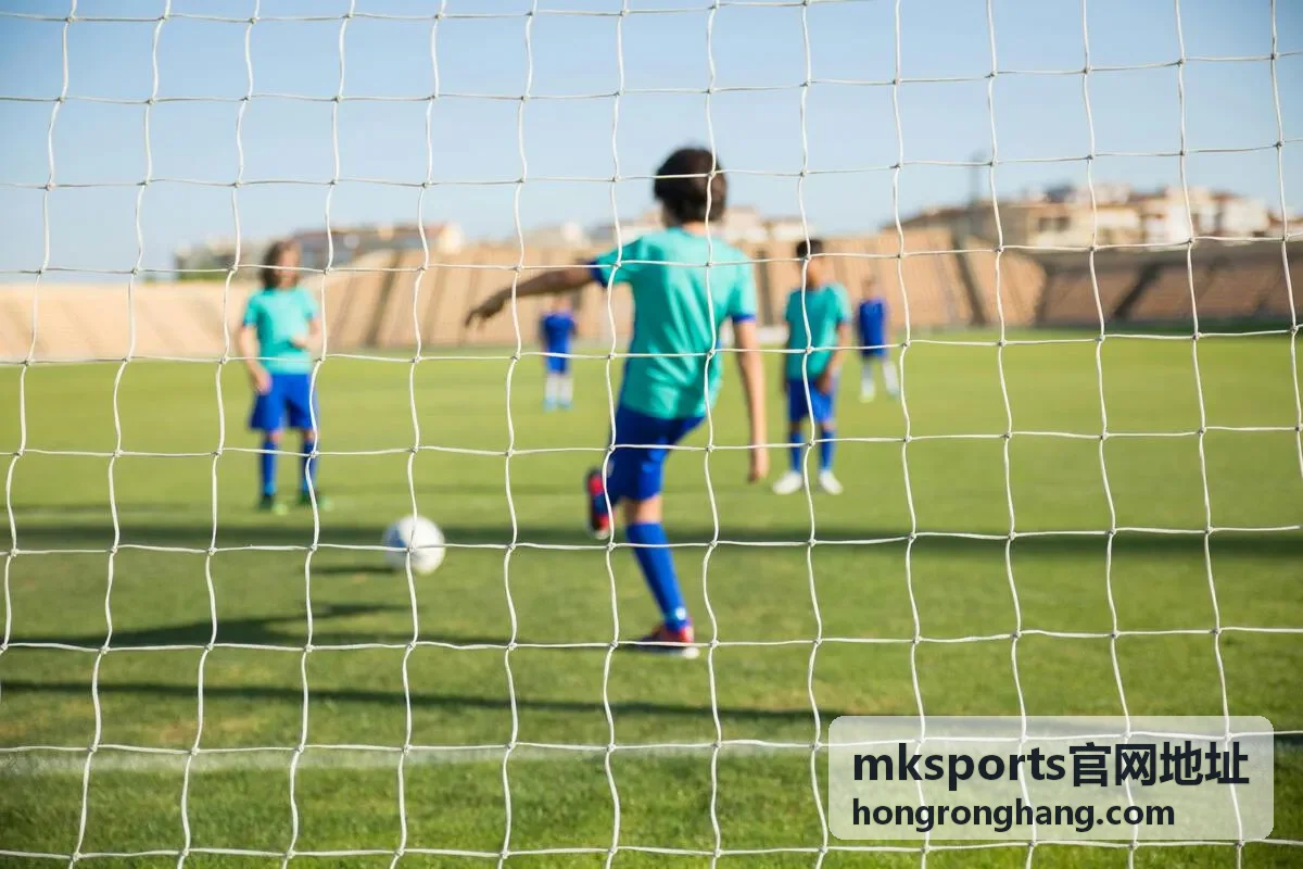 mksports官网地址页面操作步骤示意